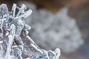  It's still cold @ Pal�