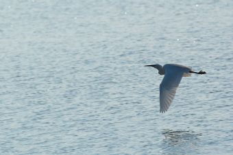 e ora non mi prenderai pi�!