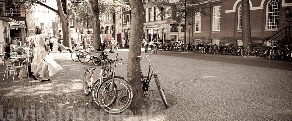 life's moments @ Amsterdam: bike's space