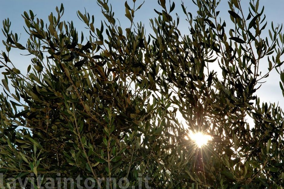 spunta un raggio di sole