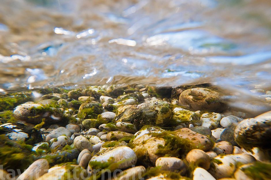 Piave - Underwater xp