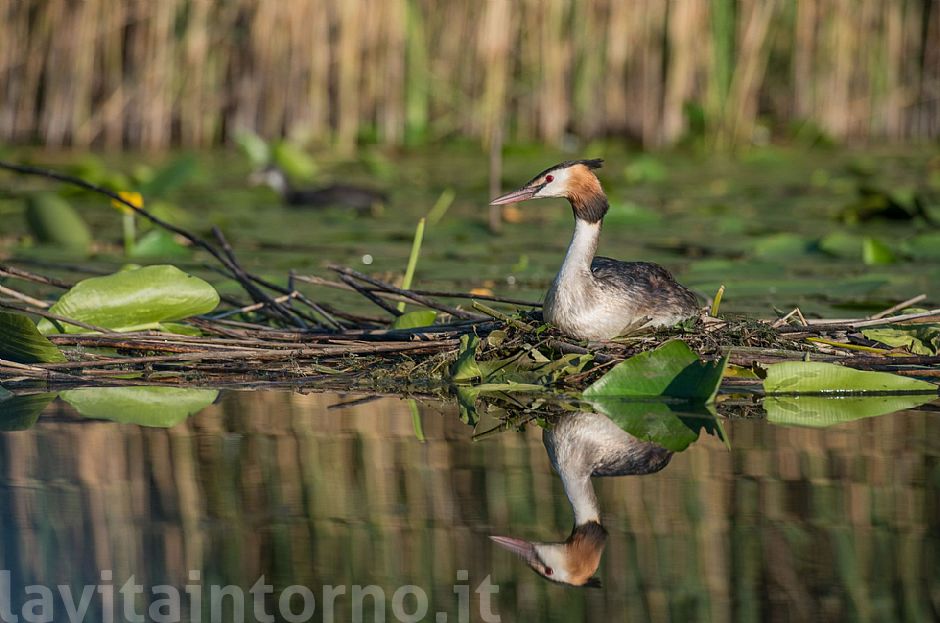 old friend of shots #4