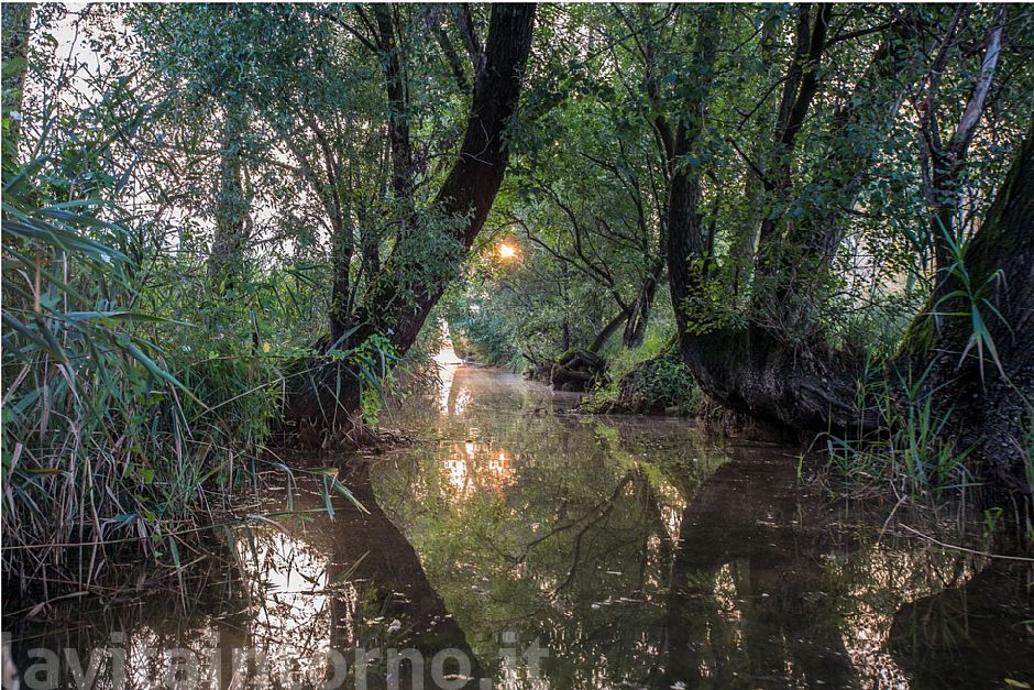 in the colors of dawn #3