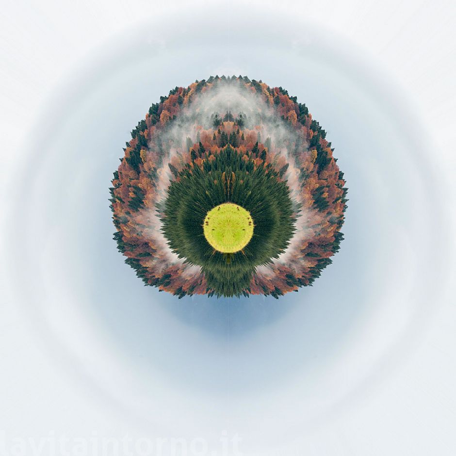 looking for a alternative brain