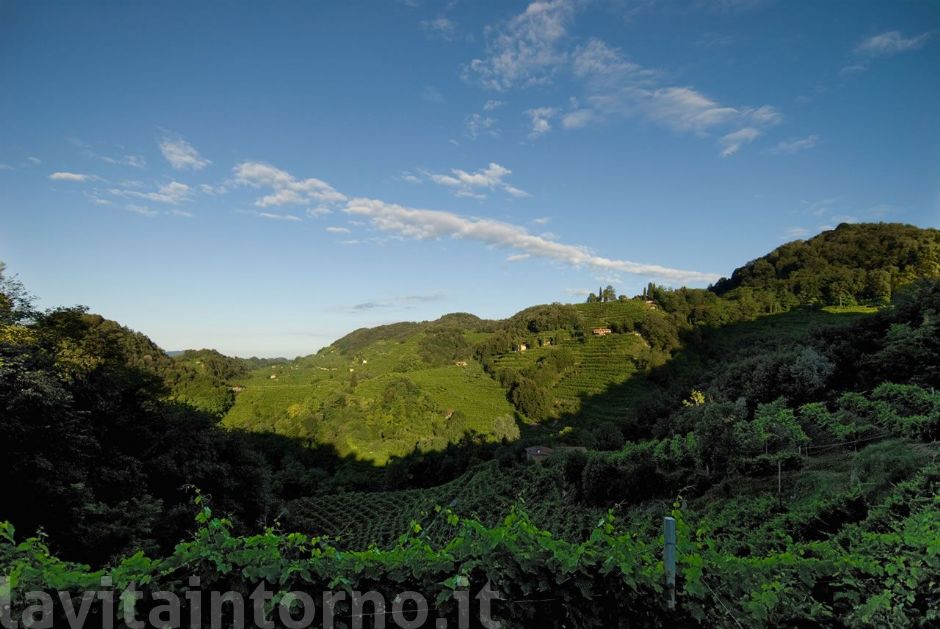 colline del prosecco