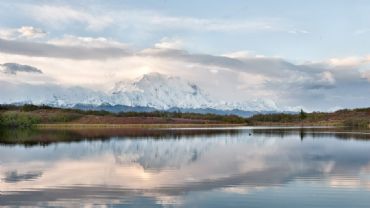 AUTORE: Ali e Radici Multivisioni AUTORE: Ali e Radici Multivisioni