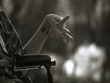 AUTORE: Ali e Radici Multivisioni AUTORE: Ali e Radici Multivisioni