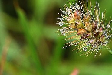 AUTORE: Ali e Radici Multivisioni AUTORE: Ali e Radici Multivisioni