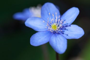 AUTORE: Ali e Radici Multivisioni AUTORE: Ali e Radici Multivisioni