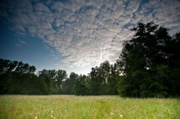 AUTORE: Ali e Radici Multivisioni AUTORE: Ali e Radici Multivisioni /