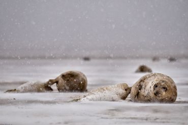 AUTORE: Ali e Radici Multivisioni AUTORE: Ali e Radici Multivisioni /