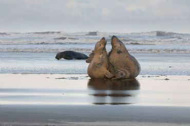 AUTORE: Ali e Radici Multivisioni AUTORE: Ali e Radici Multivisioni
